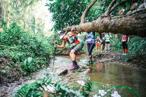 BIB: 
                            <button type="button" onclick="openModal(25517802)" class="btn btn-primary btn-sm float-right btn-popup" data-toggle="modal" data-target=".modal-high-quality">
                        <i class="fas fa-shopping-cart"></i> Add to Cart
                    </button>
                                            <button type="button" onclick="isThisMe(25517802, true)" class="btn btn-success btn-sm float-right btn-popup btn-isme hidden" data-toggle="tooltip" data-placement="bottom" title="นี่คือรูปของคุณใช่ไหม คลิกที่นี่เพื่อเอาเข้าอัลบั้ม">
                        <i class="fas fa-plus"></i> Add to album
                    </button>
                    <button type="button" onclick="isThisMe(25517802, false)" class="btn btn-warning btn-sm float-right btn-popup btn-isnotme hidden">
                        <i class="fas fa-ban"></i> Remove from album
                    </button>